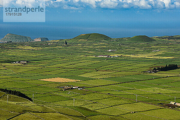 Vulkanische Schlackenkegel in der Caldera der Cinque Picos  gesehen von der Serra do Cume  Insel Terceira  Azoren  Portugal  Atlantik  Europa