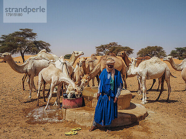 Ein Arbeiter mit Dromedaren holt Wasser aus einem Brunnen in einem Dorf zwischen Nouakchott und Tidjikdja  Mauretanien  Sahara  Westafrika  Afrika