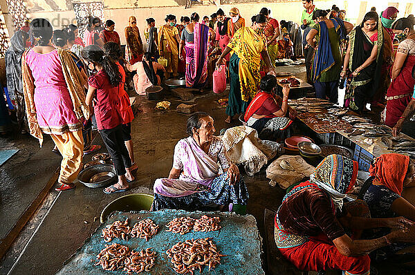 Geschäftiger Frischfischmarkt am Kai  Vanakbara  Gujarat  Indien  Asien