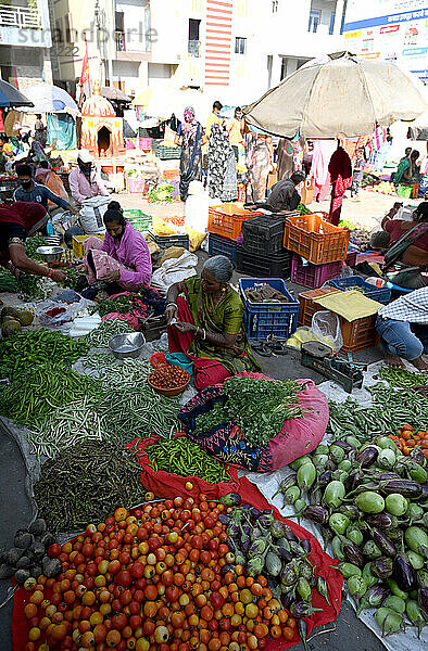 Geschäftiger Gemüsemarkt am Morgen im Stadtzentrum  Dwarka  Gujarat  Indien  Asien