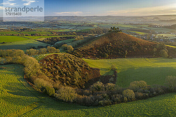 Luftaufnahme von Colmer's Hill bei Sonnenaufgang an einem sonnigen Wintermorgen  Symondsbury  Dorset  England  Vereinigtes Königreich  Europa