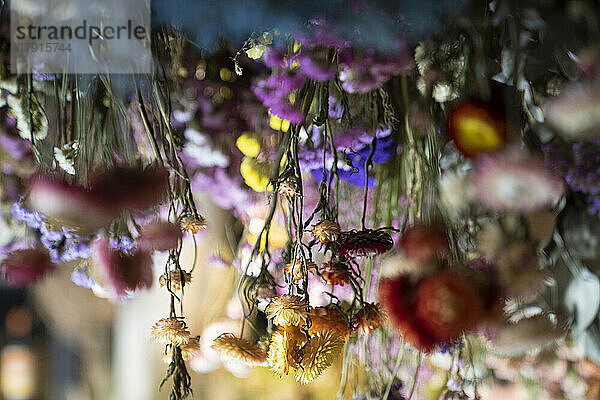 Sträußchen aus Trockenblumen in gedeckten Farben