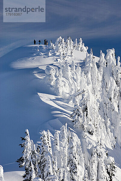 Winterschnee in den nördlichen Kaskaden  Blick von oben auf Sonnenlicht auf Eisformationen auf Bäumen..
