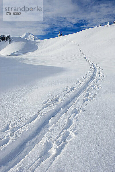 Ein Schneetrai;  Skispuren an den Hängen des Mount Baker in den North Cascades  im Winter.