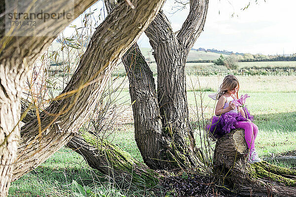 Mädchen sitzt in einem Baum mit ländlicher Landschaft dahinter.