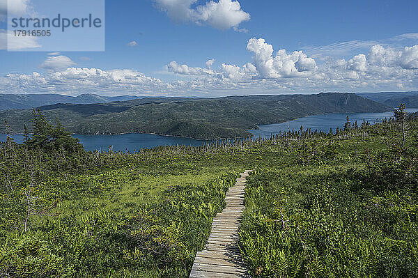 Kanada  Neufundland - Labrador  Gros-Morne-Nationalpark  Promenade in der Landschaft im Gros-Morne-Nationalpark