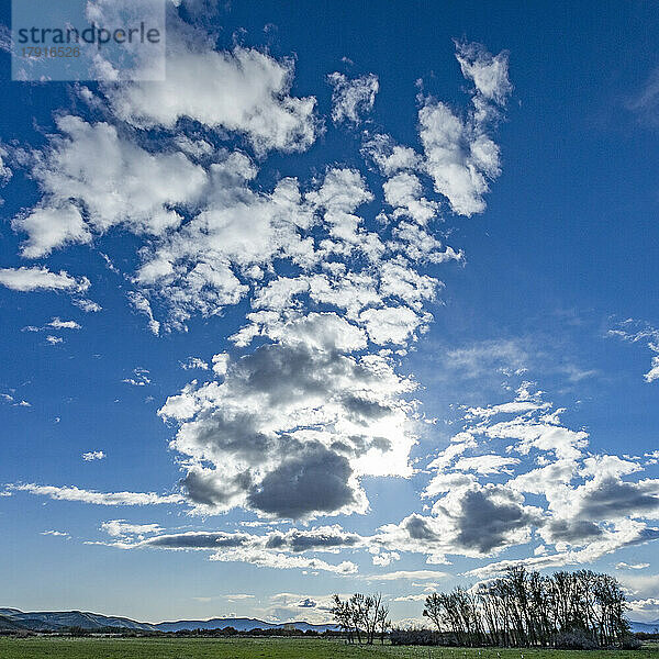 USA  Idaho  Bellevue  Wolken am blauen Himmel über der Weide