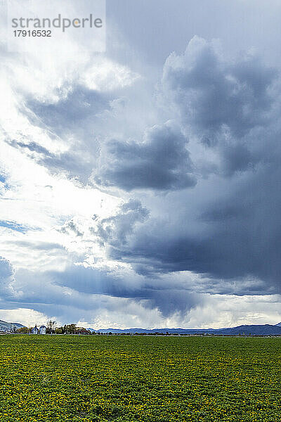 USA  Idaho  Bellevue  Wolken über dem grünen Feld