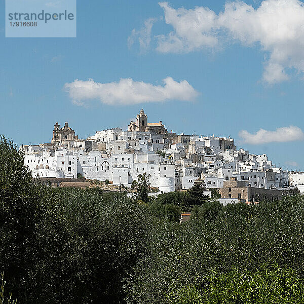 Italien  Apulien  Provinz Brindisi  Ostuni  historische Stadt auf einem Hügel