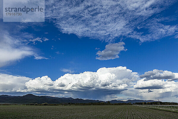 USA  Idaho  Bellevue  weiße  bauschige Wolken über der grünen Wiese