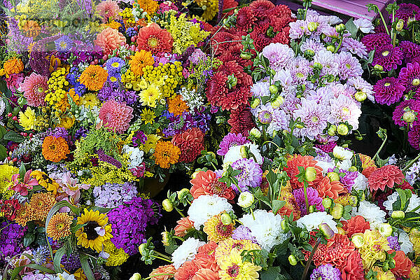 Bunte Blumensträuße auf dem Bauernmarkt