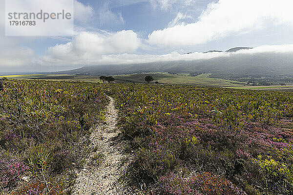 Südafrika  Stanford Valley Manor  Wanderweg in den Klein Mountains