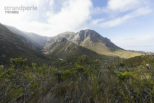 Südafrika  Hermanus  Berglandschaft im Naturschutzgebiet Fernkloof