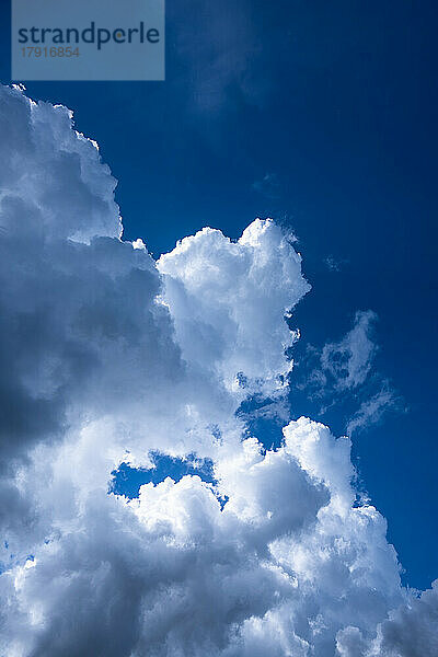 Puffige Cumuluswolken vor blauem Himmel
