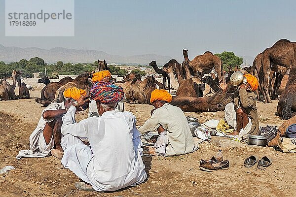 PUSHKAR  INDIEN  21. NOVEMBER 2012: Indische Männer und Kamele auf der Pushkar-Kamelmesse (Pushkar Mela)  einer jährlichen fünftägigen Kamel- und Viehmesse  einer der größten Kamelmessen und Touristenattraktion der Welt