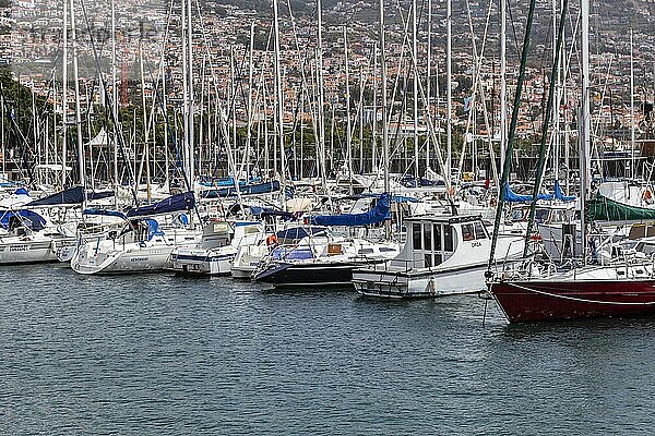 Blick auf den Jachthafen von Funchal  Santa Luzia  Funchal  Madeira  Portugal  Europa