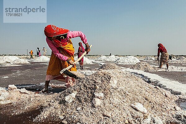 SAMBHAR  INDIEN  19. NOVEMBER 2012: Frauen beim Salzabbau am Sambhar-See  Rajasthan  Indien. Der Sambhar-Salzsee ist der größte Binnensalzsee Indiens