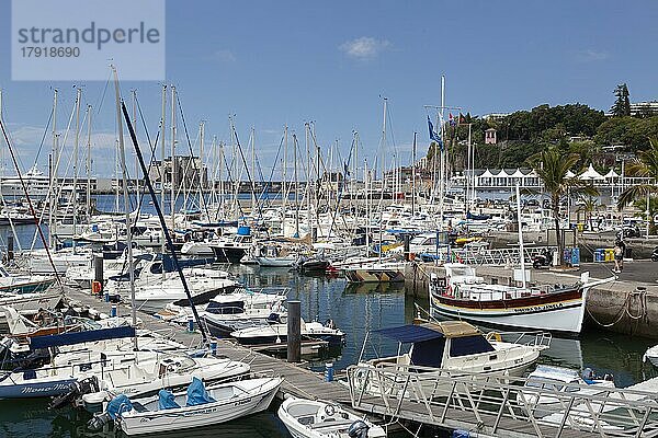 Blick auf den Jachthafen von Funchal  Santa Luzia  Funchal  Madeira  Portugal  Europa