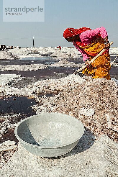 SAMBHAR  INDIEN  19. NOVEMBER 2012: Frauen beim Salzabbau am Sambhar-See  Rajasthan  Indien. Der Sambhar-Salzsee ist der größte Binnensalzsee Indiens