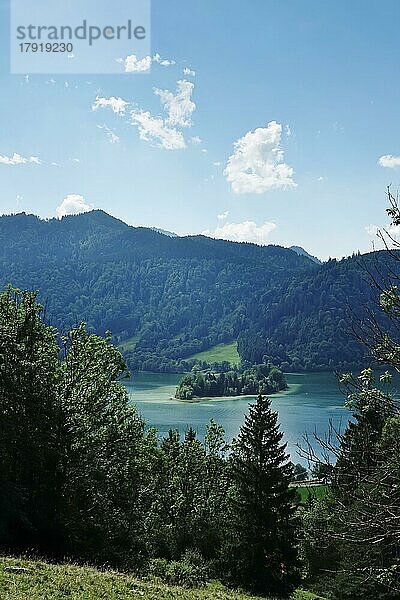 Blick zum schönen Schliersee im August  Voralpen  Bayern  Deutschland  Europa