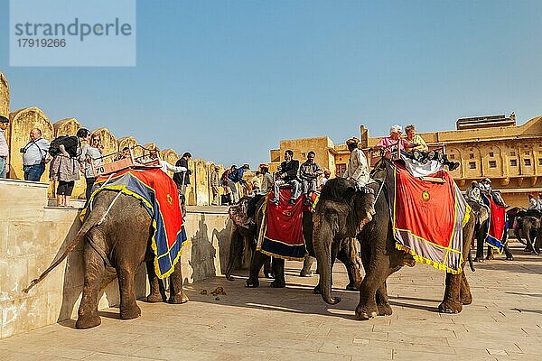 JAIPUR  INDIEN  18. NOVEMBER: Touristen reiten auf Elefanten im Amber Fort  Rajasthan  Elefantenreiten ist eine beliebte Unterhaltung für Touristen in Indien