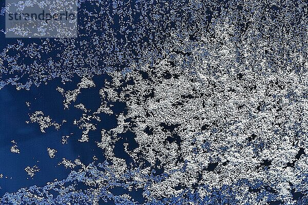 Beleuchteter Frost  Raureif  Eiskristalle auf Glas  Fensterscheibe einer Wohnung im Winter  Symbolbild  Hintergrundbild