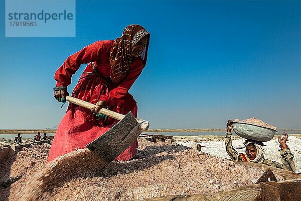 SAMBHAR  INDIEN  19. NOVEMBER 2012: Frauen beim Salzabbau am Sambhar-See  Rajasthan  Indien. Der Sambhar-Salzsee ist der größte Binnensalzsee Indiens