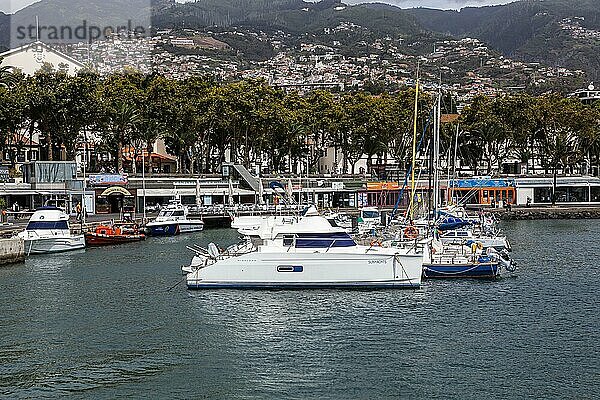 Blick auf den Jachthafen von Funchal  Santa Luzia  Funchal  Madeira  Portugal  Europa