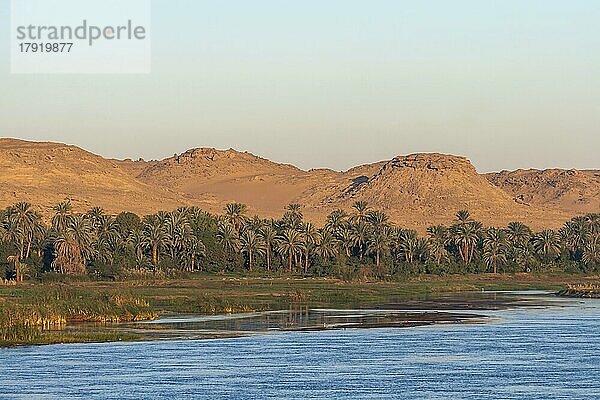 Landschaft am Nil  Nilufer  Morgenlicht  Ägypten  Afrika
