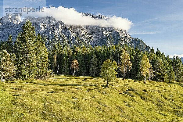 Buckelwiesen zwischen Mittenwald und Krün  Werdenfelser Land  Oberbayern  Bayern  Deutschland  Europa