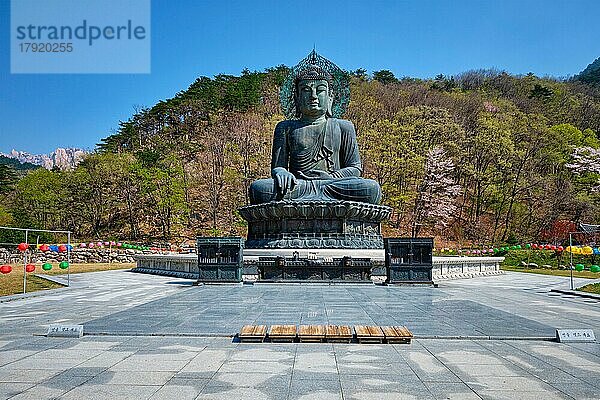 SEORAKSA  SÜDKOREA  15. APRIL 2017: Der Große Vereinigungsbuddha Tongil Daebul ist eine 14  6 Meter hohe und 108 Tonnen schwere Buddha-Statue aus Bronze im Seoraksan-Nationalpark  Südkorea  Asien