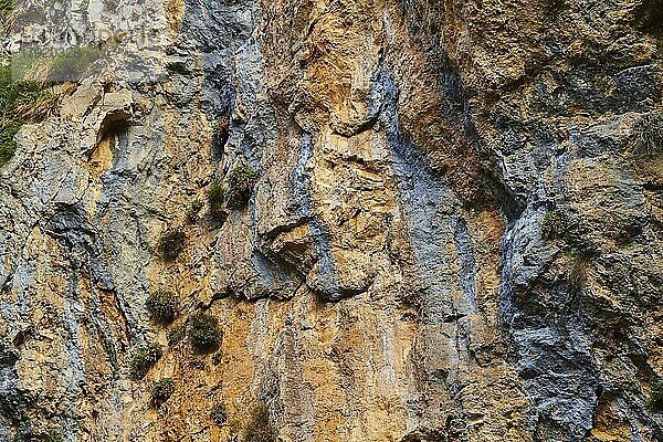 Felswand  Detail  graue und ockerfarbene Vertikale Gesteinsstreifen  Samaria-Schlucht  Samaria  Schlucht  Nationalpark  Omalos  Lefka Ori  Weiße Berge  Westkreta  Insel Kreta  Griechenland  Europa