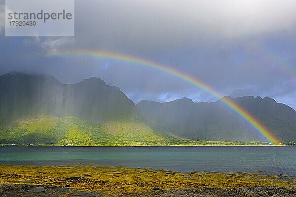 Regenbogen  Lofoten Inseln  Norwegen  Europa