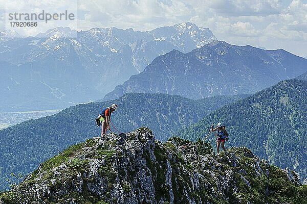 Zwei Kletterer  Paar  besteigt mit Seilsicherung den Gipfel des Ettaler Weibl  hinten Alpspitze  Jubiläumsgrat  Zugspitze und Kramer  Oberammergau  Ammergauer Alpen  Oberbayern  Deutschland  Europa