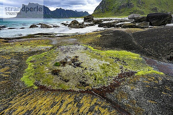 Gezeitentümpel am Uttakleiv Beach  Lofoten Inseln  Norwegen  Europa