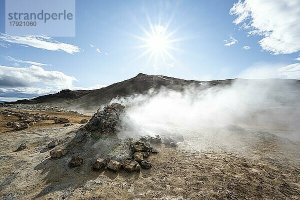 Dampfende Fumarole  Solfatar im Geothermalgebiet Hverarönd  auch Hverir oder Namaskard  Sonnenstern  Nordisland  Island  Europa