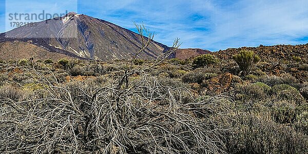 Pico de Teide  Nationalpark Teneriffa  Weltnaturerbe  Teneriffa  Kanaren  Spanien  Europa