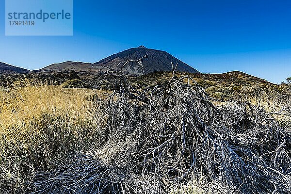 Pico de Teide  Nationalpark Teneriffa  Weltnaturerbe  Teneriffa  Kanaren  Spanien  Europa