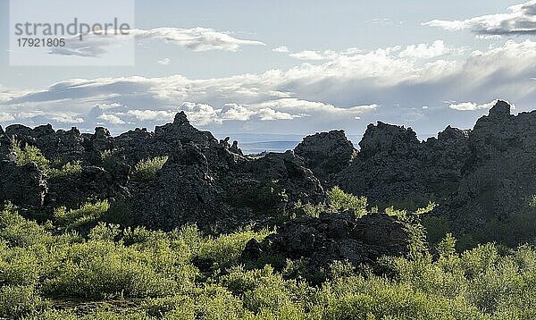 Gesteinsformationen aus Vulkangestein  Vulkanlandschaft Krafla  Dimmuborgir Lavafelder  Mývatn  Island  Island  Europa