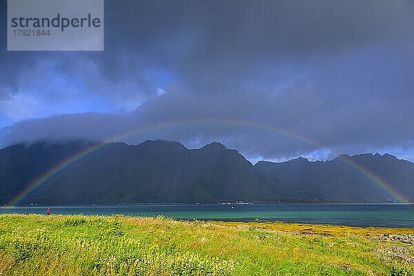 Regenbogen  Lofoten Inseln  Norwegen  Europa