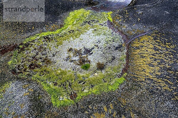 Gezeitentümpel am Uttakleiv Beach  Lofoten Inseln  Norwegen  Europa