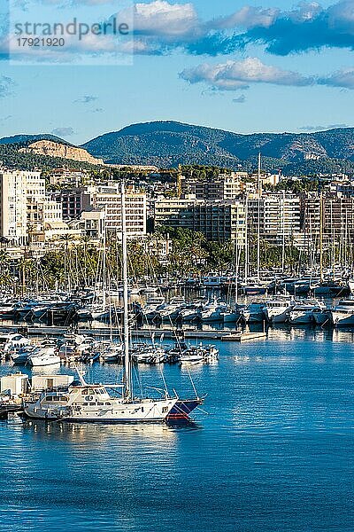 Yachthafen von Palma De Mallorca  Spanien  Europa