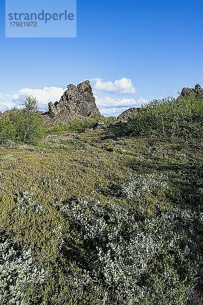 Gesteinsformationen aus Vulkangestein  Vulkanlandschaft Krafla  Dimmuborgir Lavafelder  Mývatn  Island  Island  Europa