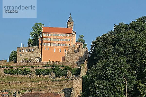 Burg erbaut 1270 mit Gebäude und Turm in Hirschhorn am Neckar  Neckartal  Odenwald  Hessen  Deutschland  Europa