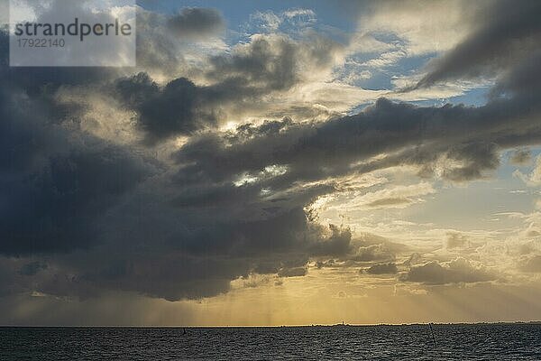 Nordsee-Insel Pellworm im Abendlicht  gesehen von der Halbinsel Nordstrand  Nordfriesland  Schleswig-Holstein  Deutschland  Europa