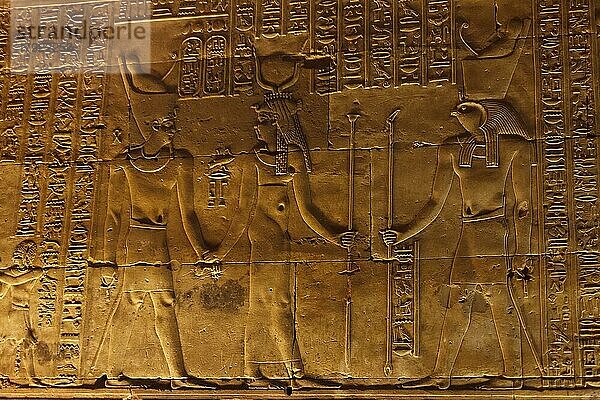 Edfu Tempel  Horus Tempel  Wandrelief und Hieroglyphen  Edfu  Ägypten  Afrika