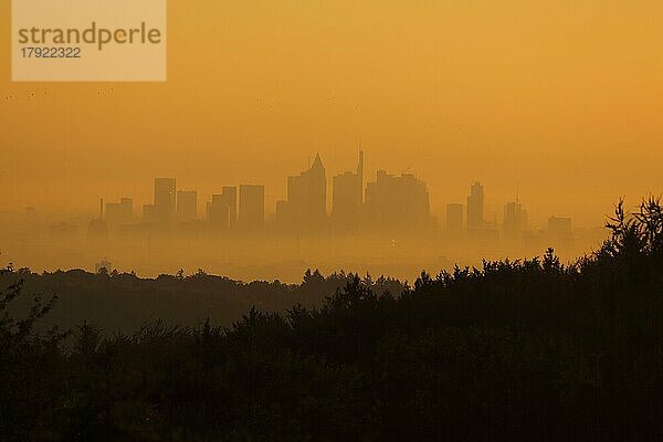 Blick auf Stadtbild mit Silhouette und Landschaft von Frankfurt während dem Sonnenaufgang  Wald  Taunus  Main  Hessen  Deutschland  Europa