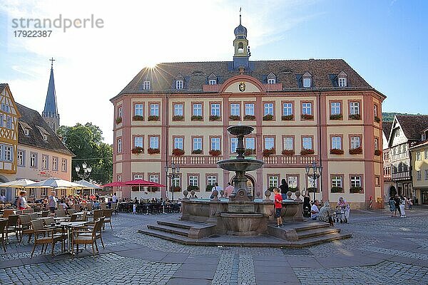 Marktplatz mit Rathaus und Marktbrunnen im Gegenlicht in Neustadt an der Weinstraße  Rheinland-Pfalz  Deutschland  Europa