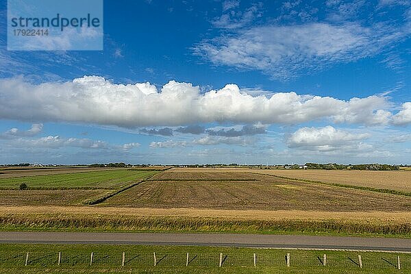 Halbinsel Nordstrand  Landwirtschaft  Felder  Nordfriesland  Schleswig-Holstein  Deutschland  Europa