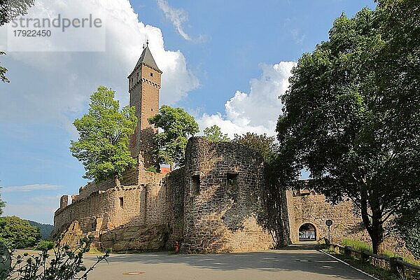 Burg erbaut 1270 in Hirschhorn am Neckar  Neckartal  Odenwald  Hessen  Deutschland  Europa